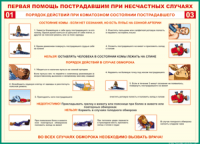 Таблица Порядок действий при коматозном состоянии пострадавшего 1000*1400 винил - «globural.ru» - Воронеж
