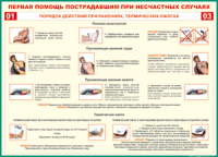 Таблица Порядок действий при ранениях и термических ожогах	 1000*1400 винил - «globural.ru» - Воронеж