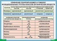 Химия. Сравнение понятий изомер и гомолог. Функциональные группы классов органических веществ (винил) - «globural.ru» - Воронеж