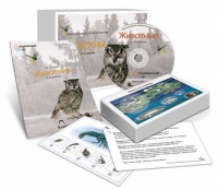 Комбинированное наглядное пособие «Животные» - «globural.ru» - Воронеж