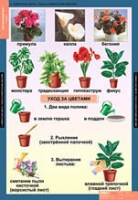 Окружающий мир 1 класс (комплект таблиц) - «globural.ru» - Воронеж