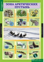 Окружающий мир 4 класс (комплект таблиц) - «globural.ru» - Воронеж