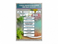 Стенд "Схема приготовления мясных котлет" - «globural.ru» - Воронеж