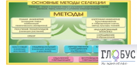 Стенд "Методы селекции и биотехнологии" - «globural.ru» - Воронеж