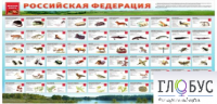 Стенд "Красная книга РФ" - «globural.ru» - Воронеж