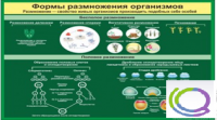 Стенд "Формы размножения организмов" - «globural.ru» - Воронеж