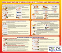 Стенд "Первая доврачебная неотложная помощь" - «globural.ru» - Воронеж