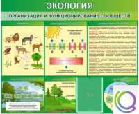 Стенд "Экология. Организация и функционирование сообществ" - «globural.ru» - Воронеж