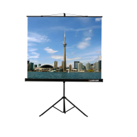 Проекционный экран на штативе Lumien Eco View (LEV-100105) 160x160 см - «globural.ru» - Воронеж