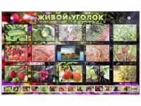 Комплект оборудования "Живой уголок" (растения) с тифлопереводом и сурдокомментариями - «globural.ru» - Воронеж