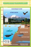 Стенд "Строение биосферы" - «globural.ru» - Воронеж