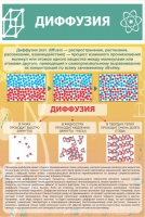 Стенд "Диффузия" - «globural.ru» - Воронеж