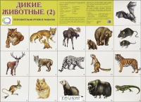 Раздаточные карточки "Дикие животные" часть 2 - «globural.ru» - Воронеж