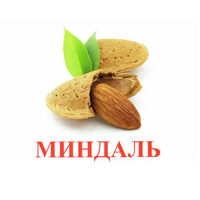 Карточки Домана "Орехи-Ягоды-2" - «globural.ru» - Воронеж