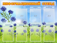 Стенд информационный с 7 карманами - «globural.ru» - Воронеж