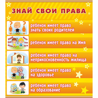 Стенд "Знай свои права" - «globural.ru» - Воронеж