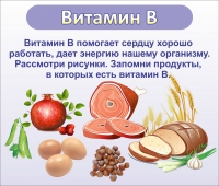 Стенд "Витамин В" - «globural.ru» - Воронеж