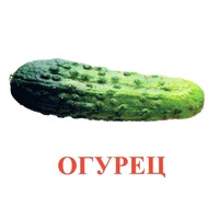 Карточки Домана "Овощи-Зелень-1" - «globural.ru» - Воронеж