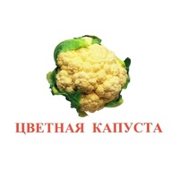 Карточки Домана "Овощи-Зелень-2" - «globural.ru» - Воронеж