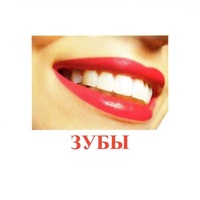 Карточки Домана "Части тела" - «globural.ru» - Воронеж