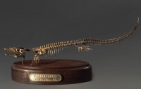Модель скелета мозазавра Mosasaurus - «globural.ru» - Воронеж