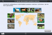 Интерактивные курсы. Биология 7 класс. Расширенный - «globural.ru» - Воронеж