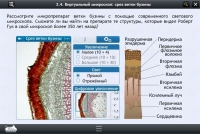 Интерактивные курсы. Биология 5 класс. Расширенный - «globural.ru» - Воронеж