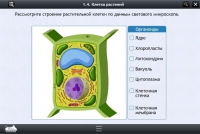Интерактивные курсы. Биология 9 класс. Расширенный - «globural.ru» - Воронеж