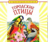 CD "Аудиоэнциклопедия. Городские птицы" - «globural.ru» - Воронеж