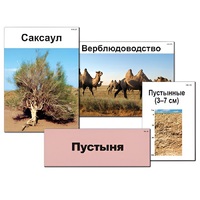 Модель-аппликация "Природные зоны России" - «globural.ru» - Воронеж