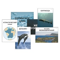 Модель-аппликация "Океаны. Знакомство" (ламинированная) - «globural.ru» - Воронеж