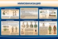 Стенд "Иммобилизация" - «globural.ru» - Воронеж