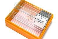 Набор микропрепаратов N10 - «globural.ru» - Воронеж