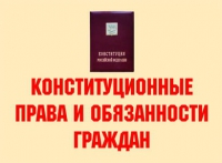 Комплект плакатов "Конституционные права и обязанности граждан" - «globural.ru» - Воронеж