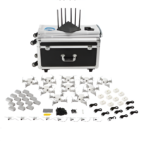 Рой дронов (10 дронов) - «globural.ru» - Воронеж