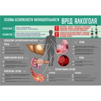 Стенд "Алкоголь" - «globural.ru» - Воронеж