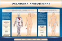 Электрифицированный стенд-тренажер "Остановка кровотечения" - «globural.ru» - Воронеж