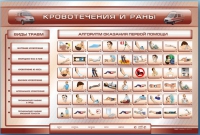 Трехсекционный базовый комплект "Травмы. Кровотечения. Ожоги" для учащихся общеобразовательных учреждений - «globural.ru» - Воронеж