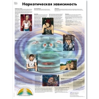Плакат "Наркотическая зависимость", ламинированный, 50*67 см - «globural.ru» - Воронеж