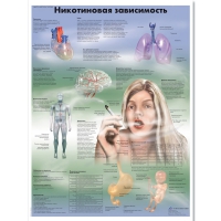 Плакат "Никотиновая зависимость", ламинированный, 50*67 см - «globural.ru» - Воронеж