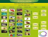 Стенд "Систематика животных" - «globural.ru» - Воронеж