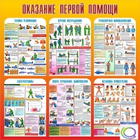 Стенд "Оказание первой помощи" - «globural.ru» - Воронеж
