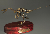 Модель скелета динозавра Velociraptor - «globural.ru» - Воронеж