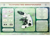 Электрифицированный стенд "Устройство микроскопа и правила работы c ним" - «globural.ru» - Воронеж