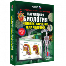 Наглядная биология. Человек. Строение тела человека - «globural.ru» - Воронеж