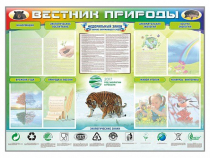 Стенд-уголок "Вестник природы" (вариант 1) - «globural.ru» - Воронеж
