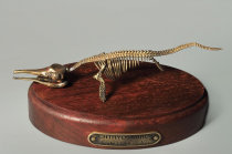 Модель скелета ихтиозавра Ichthyosaurus - «globural.ru» - Воронеж