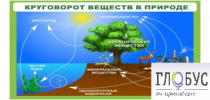 Стенд "Круговорот веществ" - «globural.ru» - Воронеж