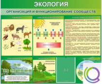 Стенд "Экология. Организация и функционирование сообществ" - «globural.ru» - Воронеж