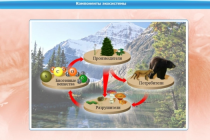 Интерактивные курсы. Биология 7 класс. Базовый - «globural.ru» - Воронеж